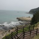 신탁 공인중개사사무소 이미지