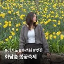 곤지암읍-4 | 화담숲 곤지암 4월 수선화·벚꽃 개화 후기 | 입장료·카페·교통 총정리