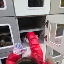 벧엘교회 사거리(1)(와동동 1539) | 운정 브레드이발소 키즈카페 후기｜대형 놀이존 많은 파주 키즈카페