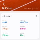 신성화학 | 로드 투 하프(完) - 하나뿐인 목숨을 하프에 쓸 수 없어(부제 : 2026 영남하프마라톤 후기)