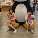 세일매점 이미지