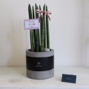 해성스파앤짐 이미지