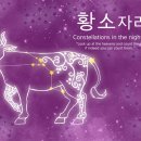 황소자리
