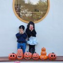 마로스테이 이미지