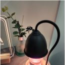 앨리스브로우 이미지