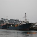 감포시장 이미지