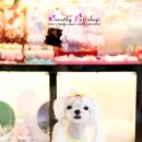 다나펫샵 이미지