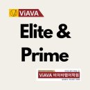 정발중학교 | [일산 백마 영어]우리 아이의 미래 '비전'을 성장시키는 비아바랩어학원.