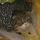 도원미장원 이미지