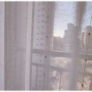 유성대로 877번길 이미지