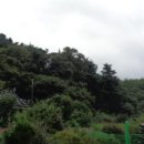 완산-111 이미지