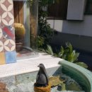 오렌지 파크 이미지