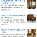 베르데힐링