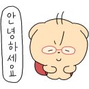새로나혼수