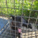 권관3리마을회관 이미지