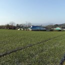 천등산헬기장(딸각산) 이미지