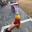 망고레이제주