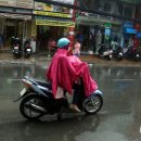 (주)브이팜 이미지