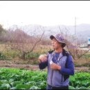 문병철농장 이미지