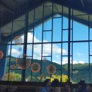 양지-2731 | 라임 그라스 솔직 리뷰와 후기