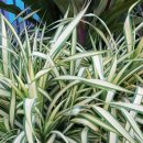 동아교역 이미지