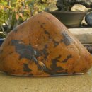 춘정농장 이미지