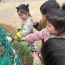 늘솔길근린공원양떼목장 이미지