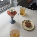 프로퍼밀도 이미지