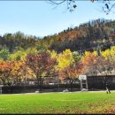 수성구민운동장 이미지