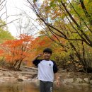 포천 한국 태권도장 이미지