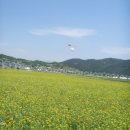 플로리아 카카오 검색결과