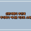 주식회사 허니문리조트 티스토리