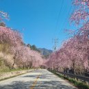 수양1길 이미지