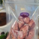 JMT 개밥집 이미지