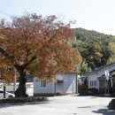 공북2구 네이버블로그