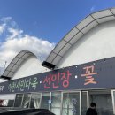 이천시민다육 이미지