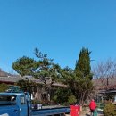 구리 아차산 단독주택 올림픽파크 포레온 입주 10톤 포장이사 후기 냉장고 5대