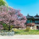 자트라(JATRA) 네이버블로그