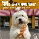 [차차리뷰] 남양주 꽈배기 맛집! 주문 즉시 튀겨주는 꽈배기 전문점 '꽈네' 솔직 후기🥖