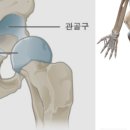 바꿈필라테스