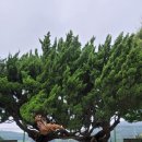 나동민박 이미지