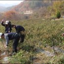 청운리 경로당 이미지