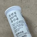 트랜짓 - 양천구 목동동로 257 | 담백하루 트랜짓 100억 유산균 후기 프리미엄유산균 찾다가 정착한 이유