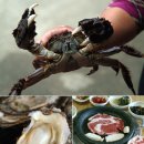 섬진강맛집