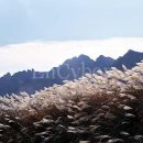 4월 4일 - [월요산행][6시 출발] 월출산~눈꽃산행(전남 영암) 예약 이미지