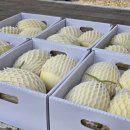 채원농장 이미지