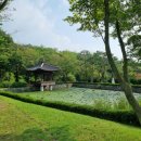 서천 이곡의 묘 이미지