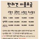 38.5독