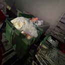 롯데슈퍼 | 롯데슈퍼 시식 알바 후기