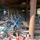 우포늪 자전거 대여소 이미지